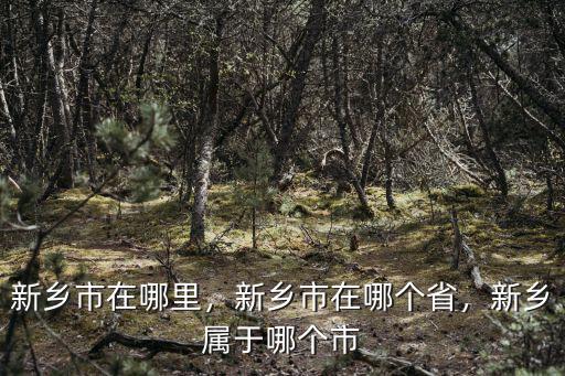新鄉(xiāng)市醫(yī)學(xué)會在哪里,新鄉(xiāng)市在哪里
