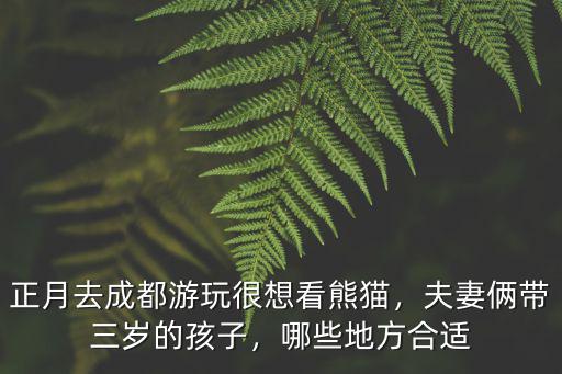 正月成都哪里玩,正月想去四川玩