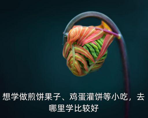 想學做煎餅果子、雞蛋灌餅等小吃，去哪里學比較好