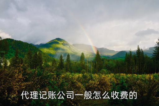 合肥代理記賬費(fèi)用一般多少錢一年,代理記賬公司一般怎么收費(fèi)的