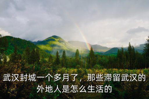 武漢封城一個多月了，那些滯留武漢的外地人是怎么生活的