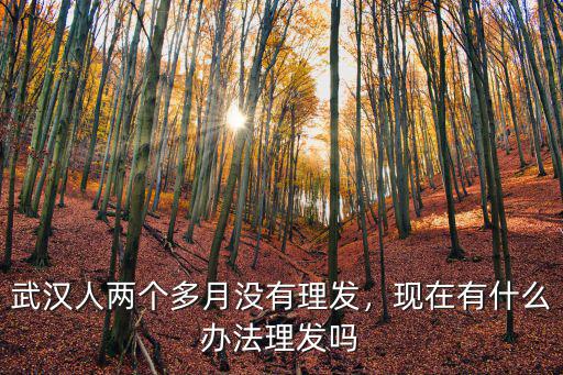 武漢封城幾個月理發怎么辦,武漢封城四十幾天了