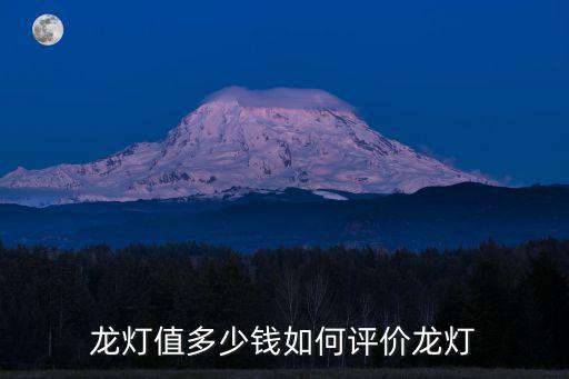 亳州龍燈多少錢,如何評價龍燈