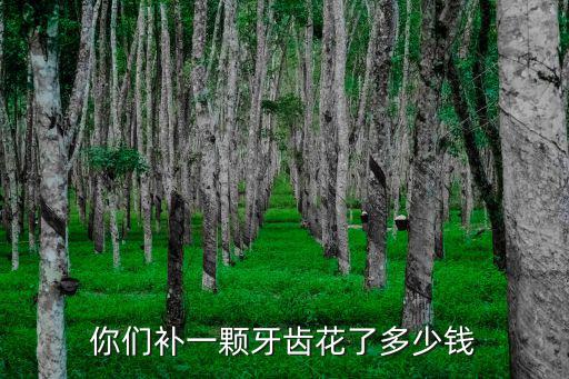 安徽銅陵醫院補一顆門牙要多少錢,補牙費用一般多少錢