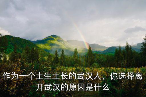 作為一個土生土長的武漢人，你選擇離開武漢的原因是什么