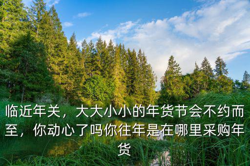 資陽年貨節(jié)在哪里,你往年是在哪里采購年貨