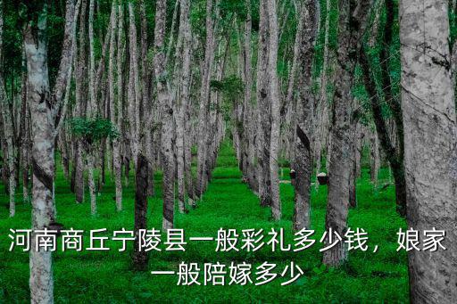 河南商丘結婚多少禮金,河南商丘結婚要求彩禮25萬