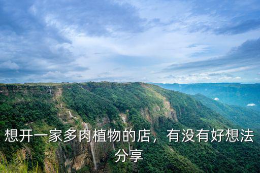 鄭州哪里有賣多肉植物的,靠譜的多肉批發途徑有哪些