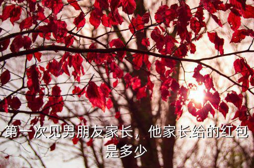 第一次見男朋友家長，他家長給的紅包是多少