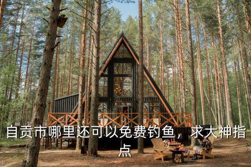 自貢釣魚水庫哪里好,釣水庫什么位置好