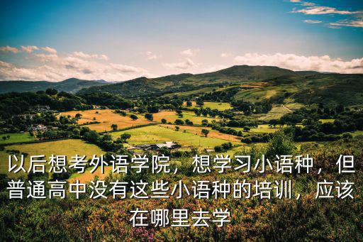 以后想考外語學(xué)院，想學(xué)習(xí)小語種，但普通高中沒有這些小語種的培訓(xùn)，應(yīng)該在哪里去學(xué)