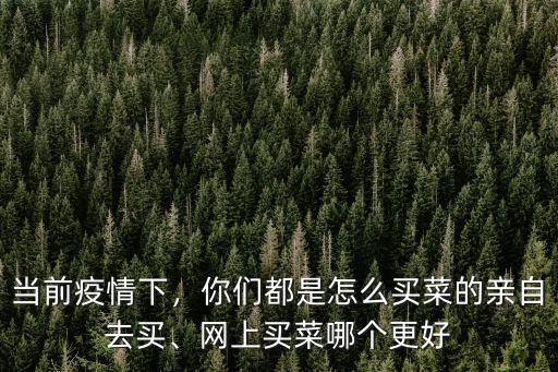 武漢怎么網(wǎng)上買菜,網(wǎng)上買菜哪個(gè)更好