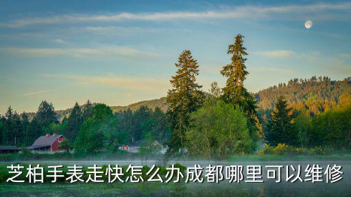芝柏手表走快怎么辦成都哪里可以維修