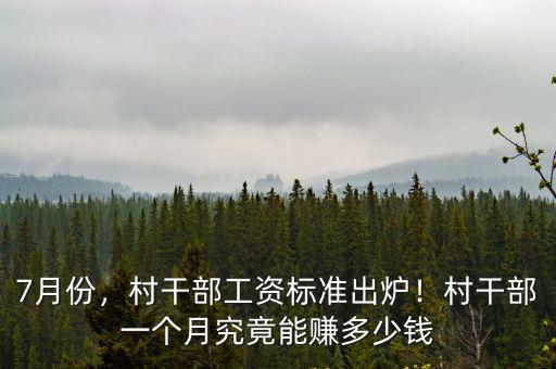 保定村書記工資標準多少,保定平均工資是多少錢
