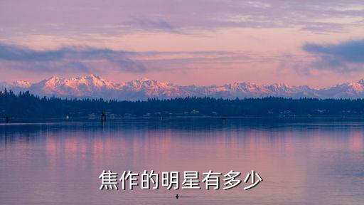 焦作的明星有多少