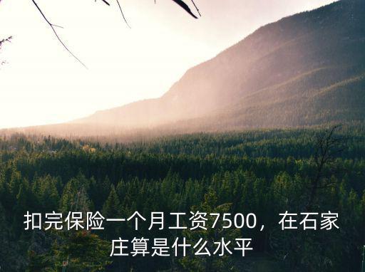 石家莊智游公司工資多少,想問問石家莊工資普遍多少