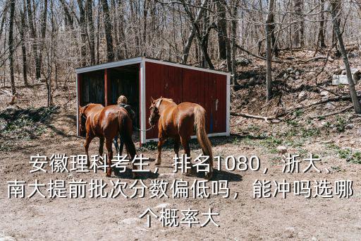 在安徽省排名多少能上浙大,排名1080