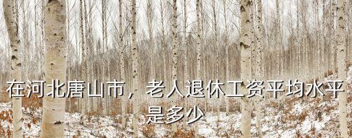 秦皇島的退休老人工資多少,老人退休工資平均水平是多少