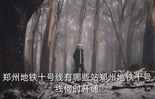 鄭州地鐵五號線都到哪里,鄭州地鐵十號線何時開通