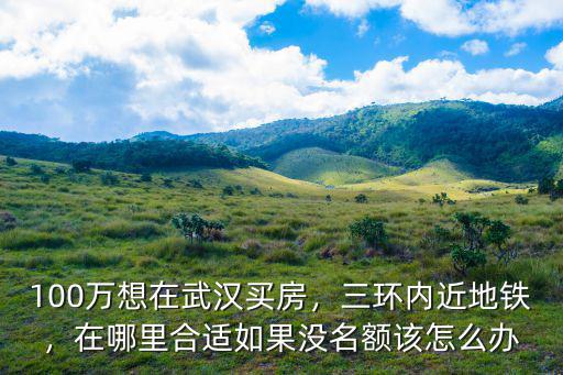 武漢公寓沒學位怎么辦,如果沒名額該怎么辦
