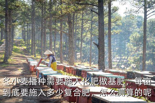 冬小麥播種需要施入化肥做基肥，每畝到底要施入多少復合肥，怎么測算的呢