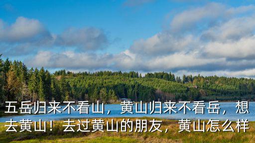 有多少人不認識黃山,有些人說黃山歸來不看山
