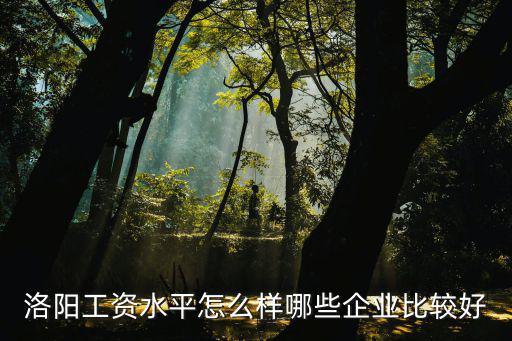 洛陽旅發集團待遇怎么樣,洛陽公交公司的待遇怎么樣