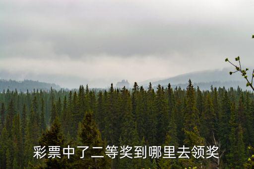彩票中了二等獎到哪里去領獎