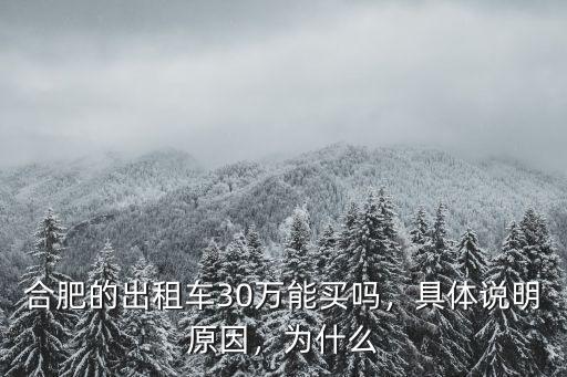 合肥的出租車30萬能買嗎，具體說明原因，為什么