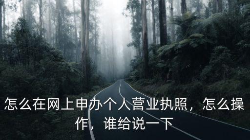 怎么在網上申辦個人營業執照，怎么操作，誰給說一下
