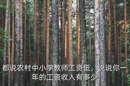 在淮南中小學老師收入大概有多少錢,河南中小學教師工資有多少