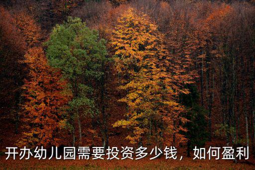 秦皇島辦幼兒園投資多少錢,開辦幼兒園需要投資多少錢