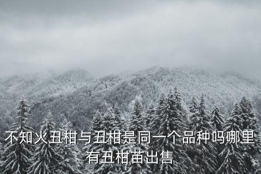 瀘州哪里有不知火丑柑,哪里有丑柑苗出售