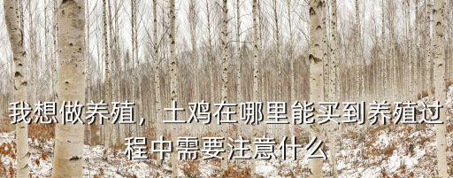 我想做養殖，土雞在哪里能買到養殖過程中需要注意什么