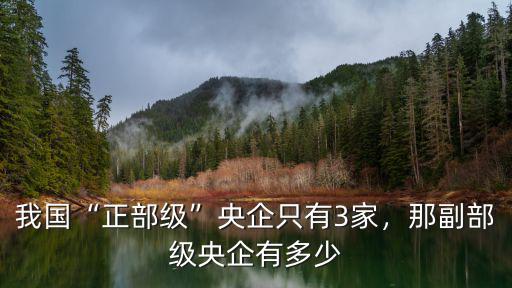 我國“正部級”央企只有3家，那副部級央企有多少