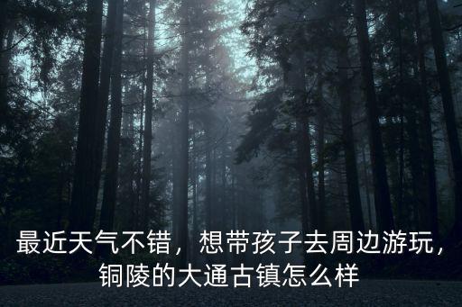 最近天氣不錯，想帶孩子去周邊游玩，銅陵的大通古鎮怎么樣