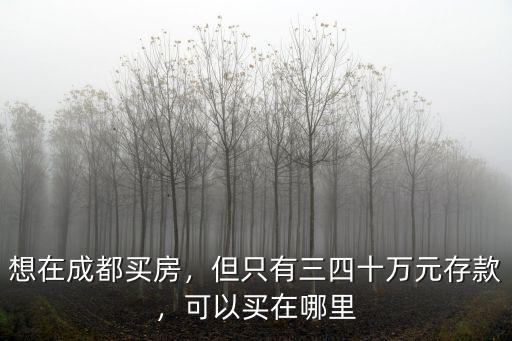 成都80萬首付在哪里,成都首付50萬能買哪里的房
