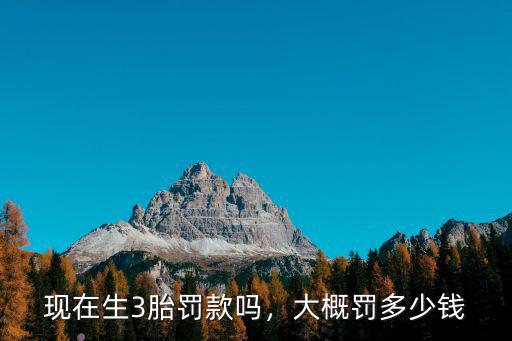 周口三胎罰款多少,現在生3胎罰款嗎