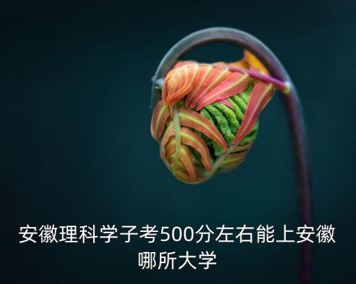 今年安徽工程大學(xué)多少分才能錄取,我兒子被安徽工程大學(xué)錄取了