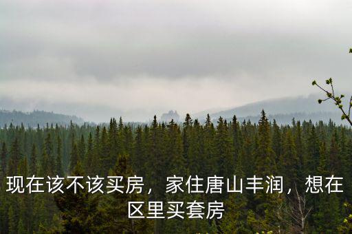 現在該不該買房，家住唐山豐潤，想在區里買套房