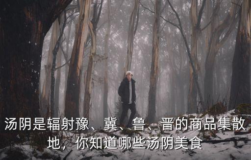 湯陰是輻射豫、冀、魯、晉的商品集散地，你知道哪些湯陰美食