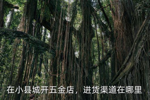 成都五金貨源一般在哪里進貨,進貨渠道在哪里