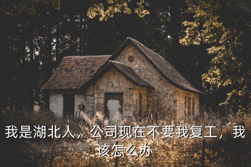 我是湖北人，公司現在不要我復工，我該怎么辦
