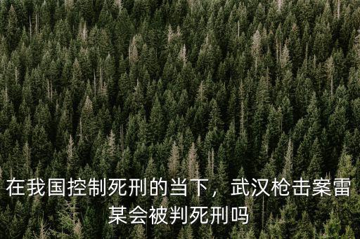 武漢槍擊案犯怎么判決的,武漢槍擊案能判死刑嗎