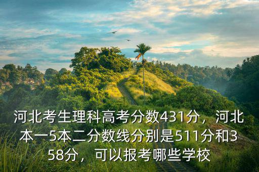 河北理科考431分排名多少,河北理科考生563分