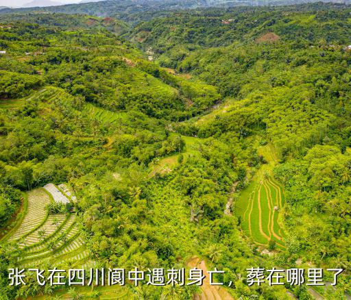 張飛在四川閬中遇刺身亡，葬在哪里了
