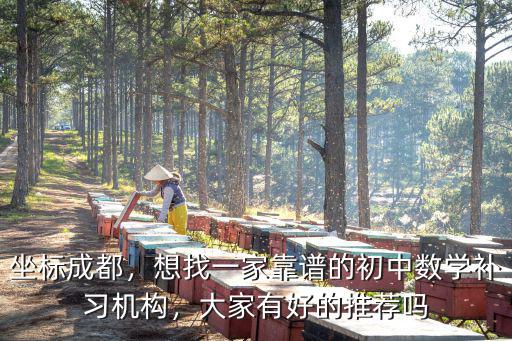 成都哪里數學教得好,成都數學補習班地址