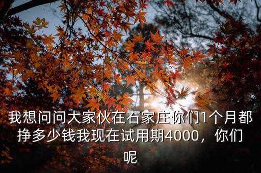 我想問問大家伙在石家莊你們1個(gè)月都掙多少錢我現(xiàn)在試用期4000，你們呢