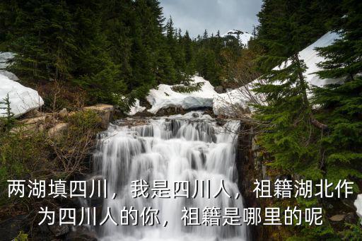四川喬氏祖籍在哪里,四川姓譙的祖籍在哪里