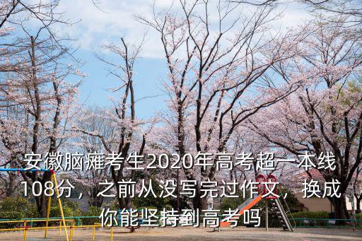 安徽高考分數多少及格,換成你能堅持到高考嗎